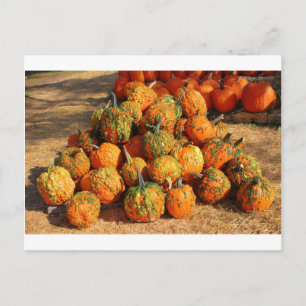 Halloween Postcard