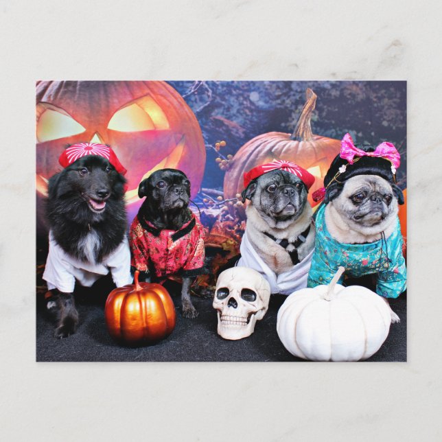 Halloween - Pug - Bruno Pearl Bear Ms Wiggens Postcard (Front)