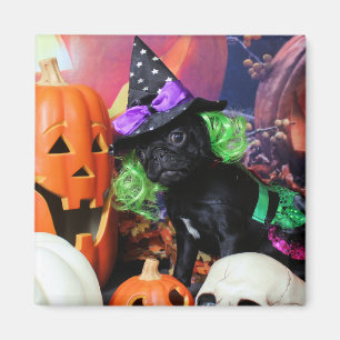 Halloween - Pug - Daisy Mae Magnet