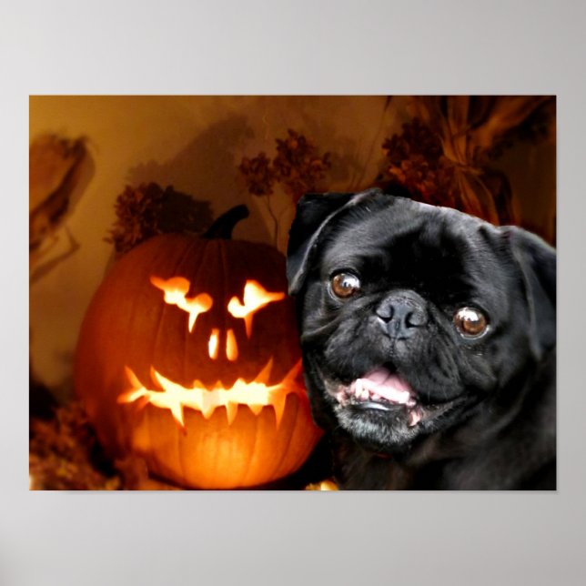 Halloween Pug Dog Poster (Front)