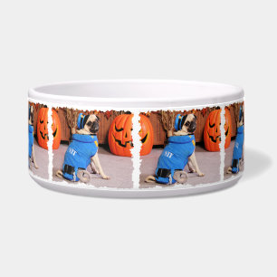Halloween - Pug - QuaziMoto - Stephanie