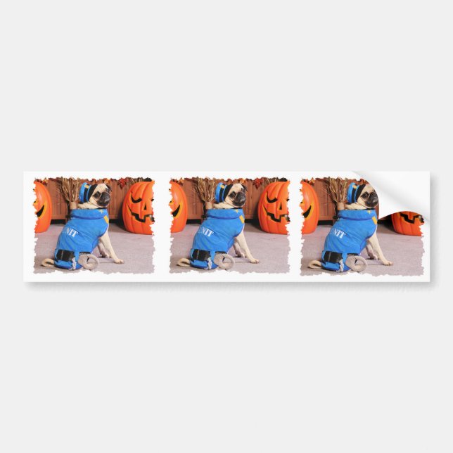Halloween - Pug - QuaziMoto - Stephanie Bumper Sticker (Front)
