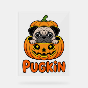 Halloween Pugkin, chien Citrouille Carlin