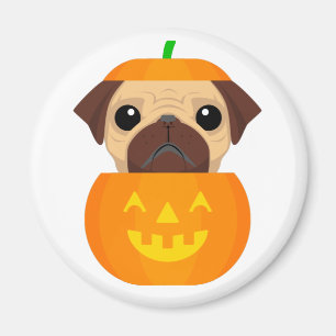 Halloween Pugkin   Magnet
