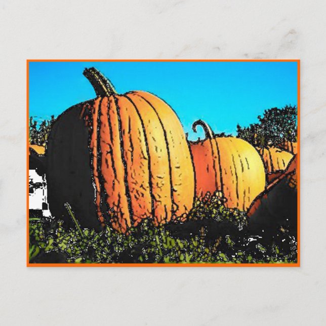 Halloween Pumpkin Patch in Daytime Postcard (Front)