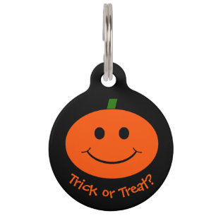 Halloween Pumpkin Pet Tag