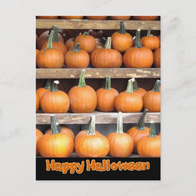 Halloween Pumpkin Wall Postcard (Front)