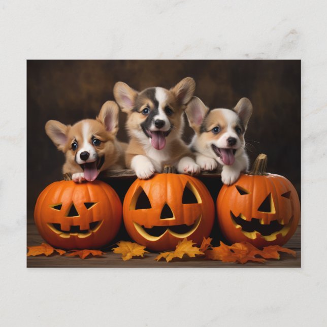 Halloween puppies with Pumpkin postcard (Front)