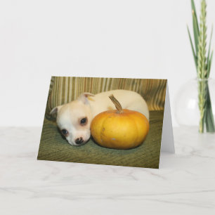Halloween Puppy Greeting Card