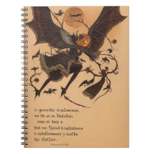 Halloween Samhain Fairy Owl Spider Web Notebook