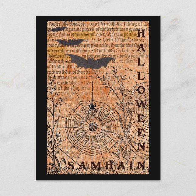 Halloween Samhain Spider Webs Postcard (Front)