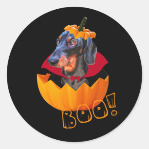 Halloween sausage dog pumpkin classic round sticker