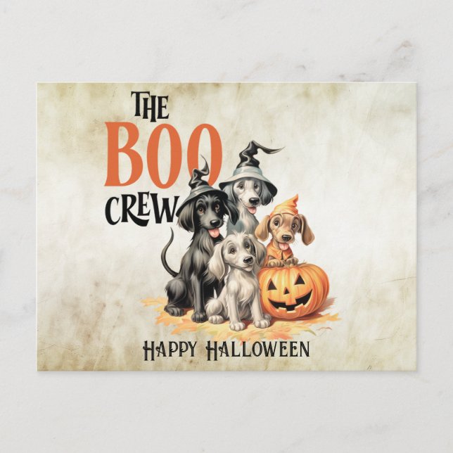 Halloween Scary Boo Dogs Crew Orange Pumpkin Postcard (Front)