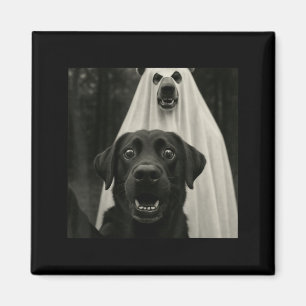 Halloween Selfie Black Lab With Bear Ghost Costume Magnet