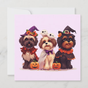 Halloween Shih Tzu Dogs Invitation