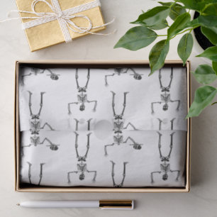 Halloween Skeletons, Trick Or Treat, Boo Tissue Paper