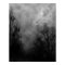 Halloween Sky with Ravens Poster