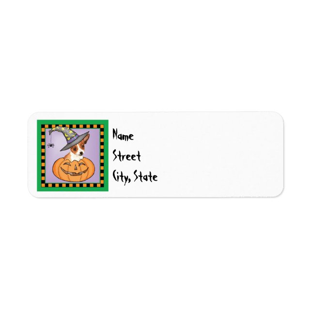 Halloween Smooth Coat Chihuahua (Front)