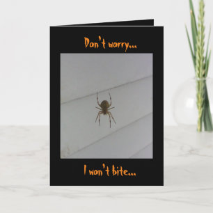 Halloween Spider Card