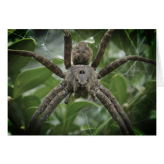 Halloween Spider Card