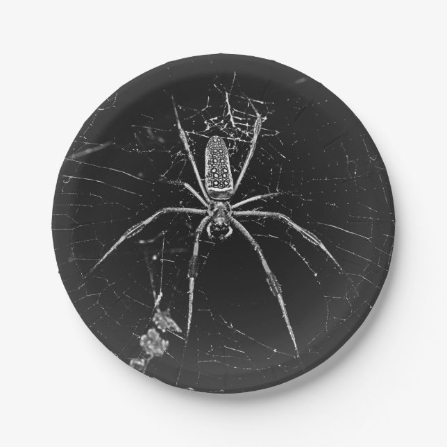 Halloween Spider Paper Plate (Front)