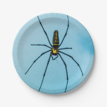 Halloween Spider