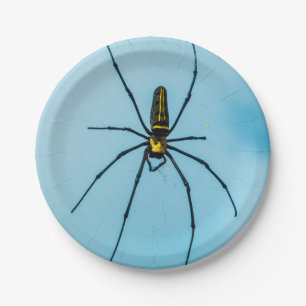 Halloween Spider Paper Plate