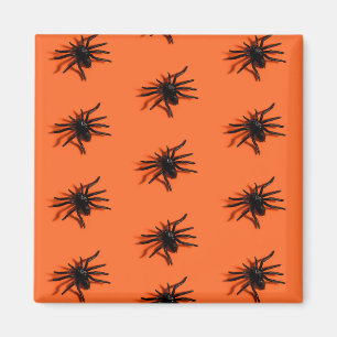 Halloween spider pattern magnet