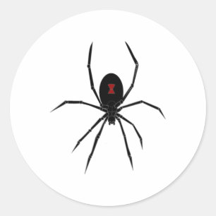 Halloween Spider Redback Black Widow Insect Women  Classic Round Sticker