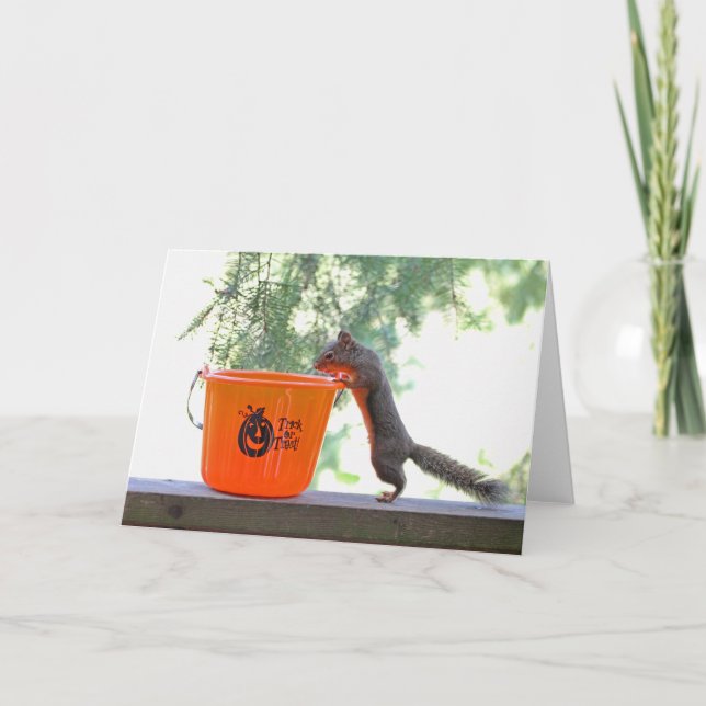 Halloween Squirrel Card (Front)