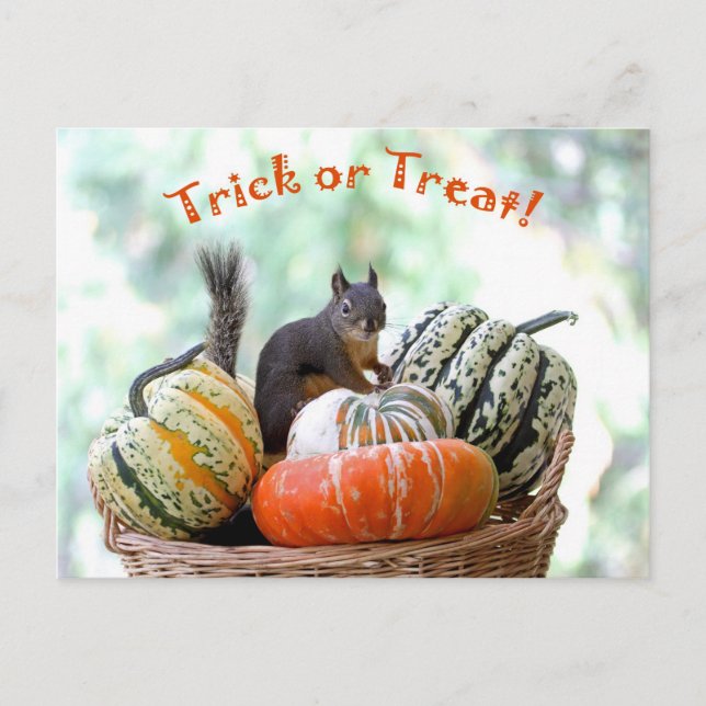 Halloween Squirrel Postcard (Front)