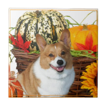 Halloween Welsh Corgi dog