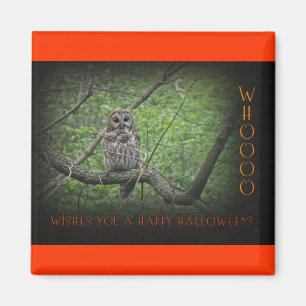 Halloween Wishies -  Barred Owl Magnet