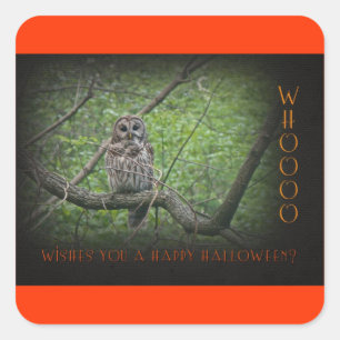Halloween Wishies -  Barred Owl Square Sticker