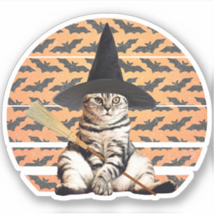 Halloween Witch Cat
