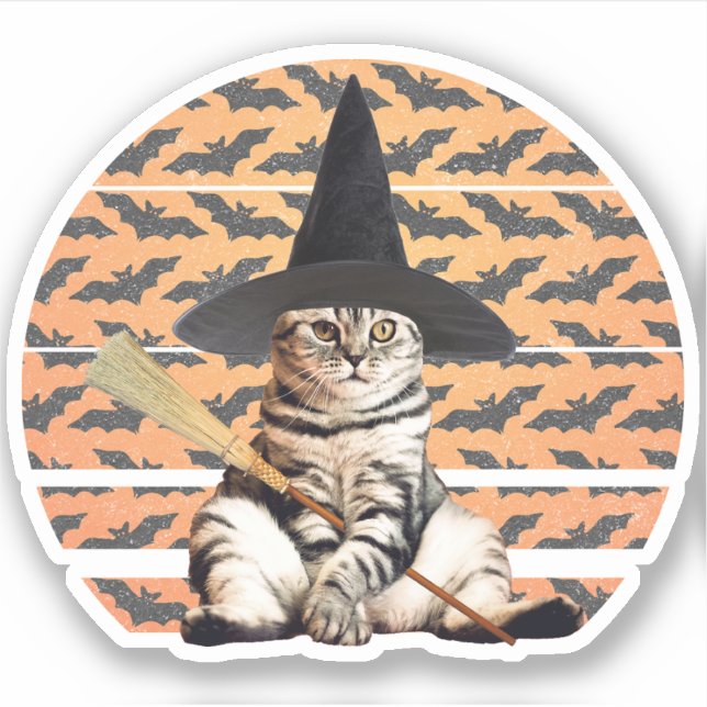 Halloween Witch Cat (Front)