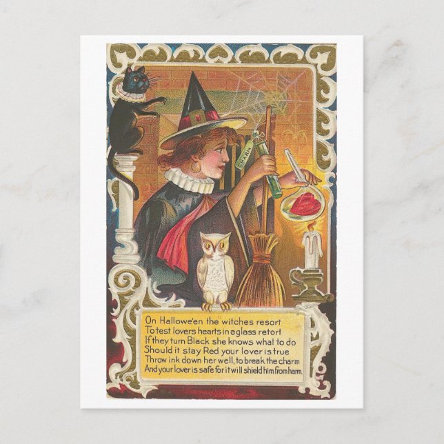 Halloween Witches Postcard (Front)