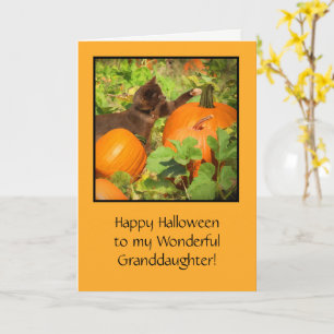 Halloween with Cute Cat Pumpkins for Granddaughter Card