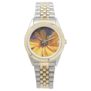 Halse Watch