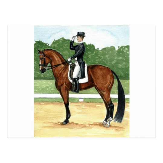 Halt, Salute at X Dressage Art Bay Horse Postcard
