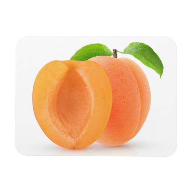 Halved apricots magnet (Horizontal)