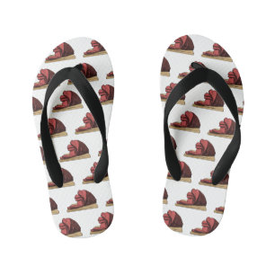 Ham cartoon illustration  kid's flip flops