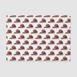 Ham cartoon illustration tissue paper