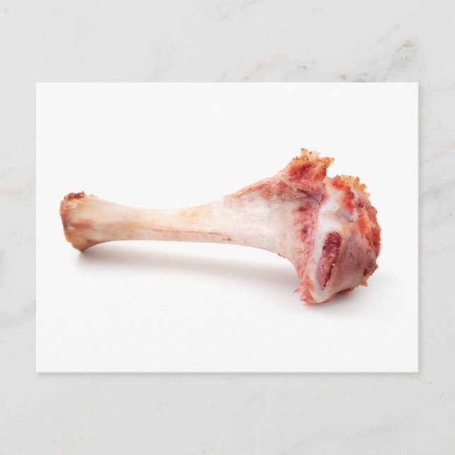 Ham hock postcard (Front)