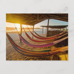 Hamacas Postcard