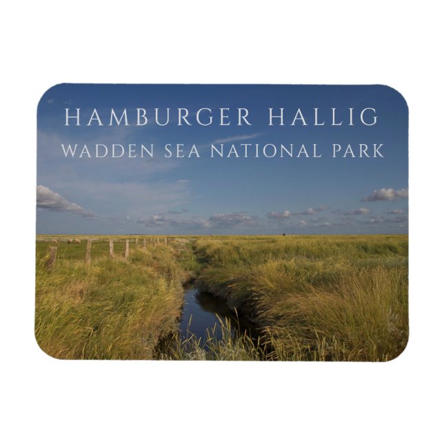 Hamburger Hallig, Wadden Sea, Germany Magnet (Horizontal)