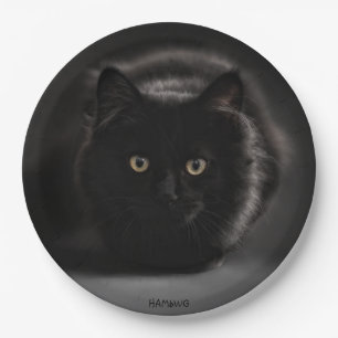 HAMbWG - Custom Paper Plates 9" -Black Cat