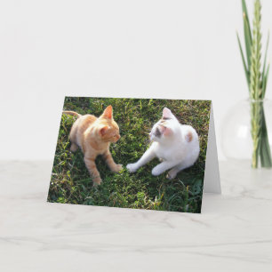 HAMbWG - Greeting Card - 2 Cats
