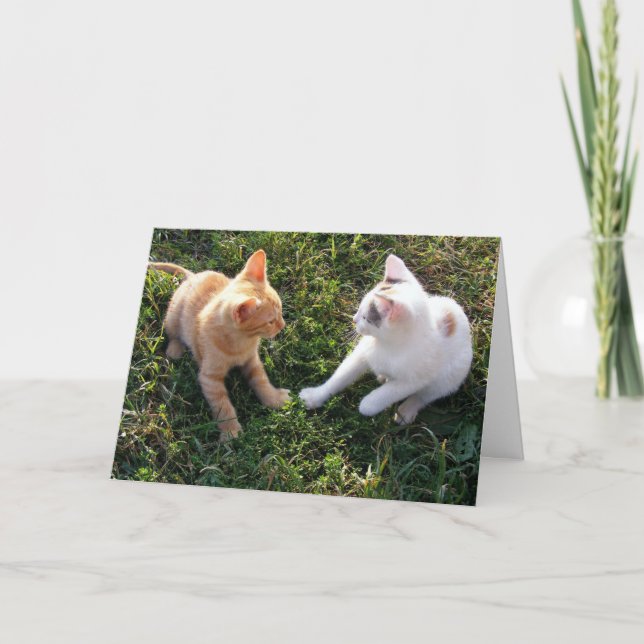 HAMbWG - Greeting Card - 2 Cats (Front)