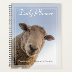 HAMbWG - Photo Daily Planner - Moutons